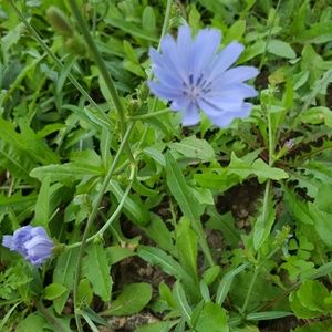 Meet your Posher, Tia